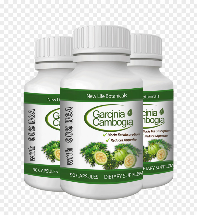 Garcinia Cambogia Asam Gelugur Hydroxycitric Acid Indica Extract PNG