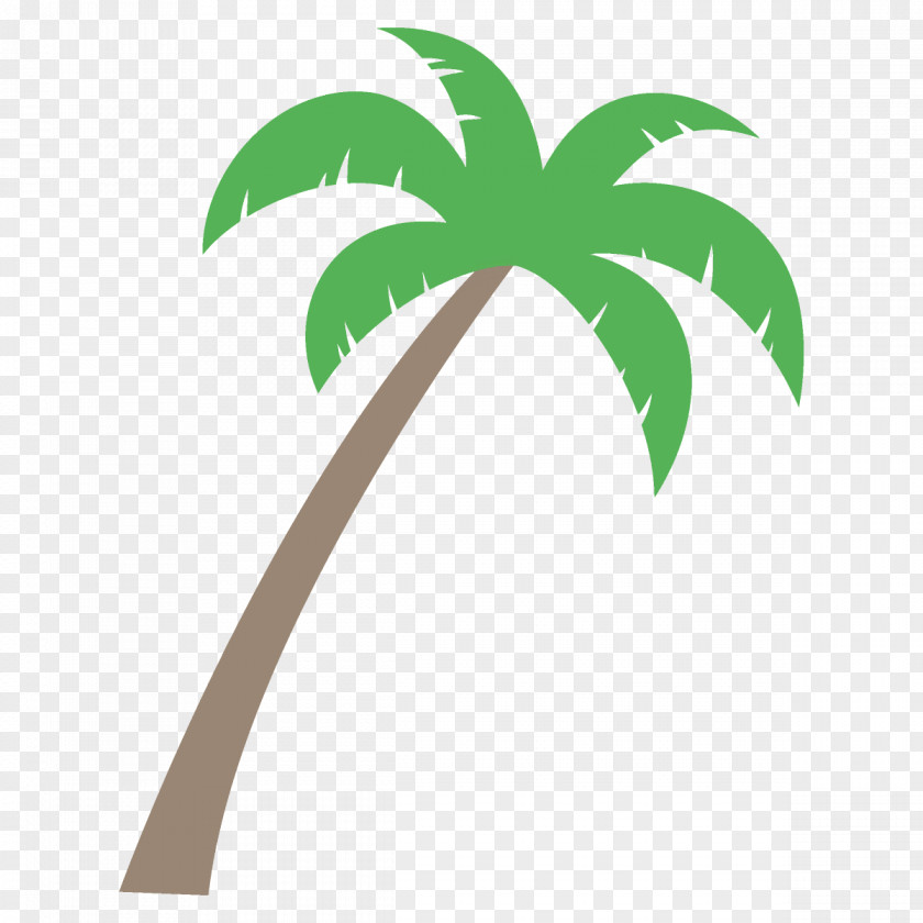 Woody Plant Palm Tree PNG