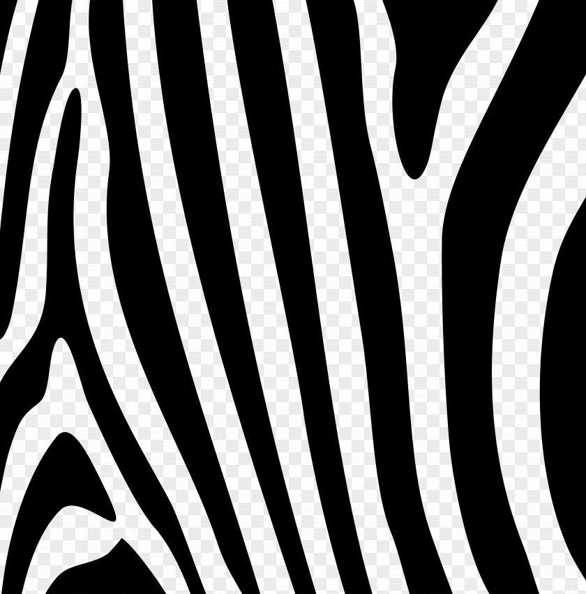 Zebra Gratis PNG