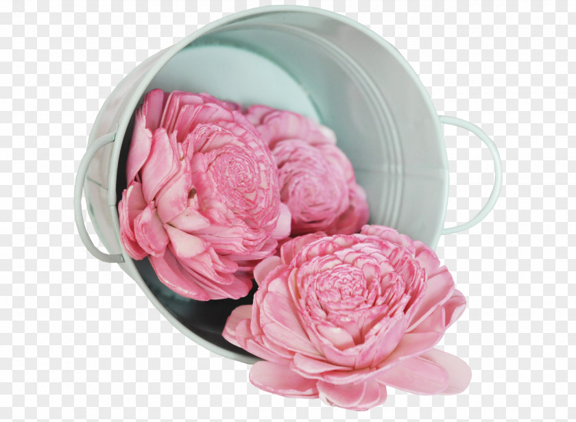 Bucket Creative Flower Material Centifolia Roses PNG