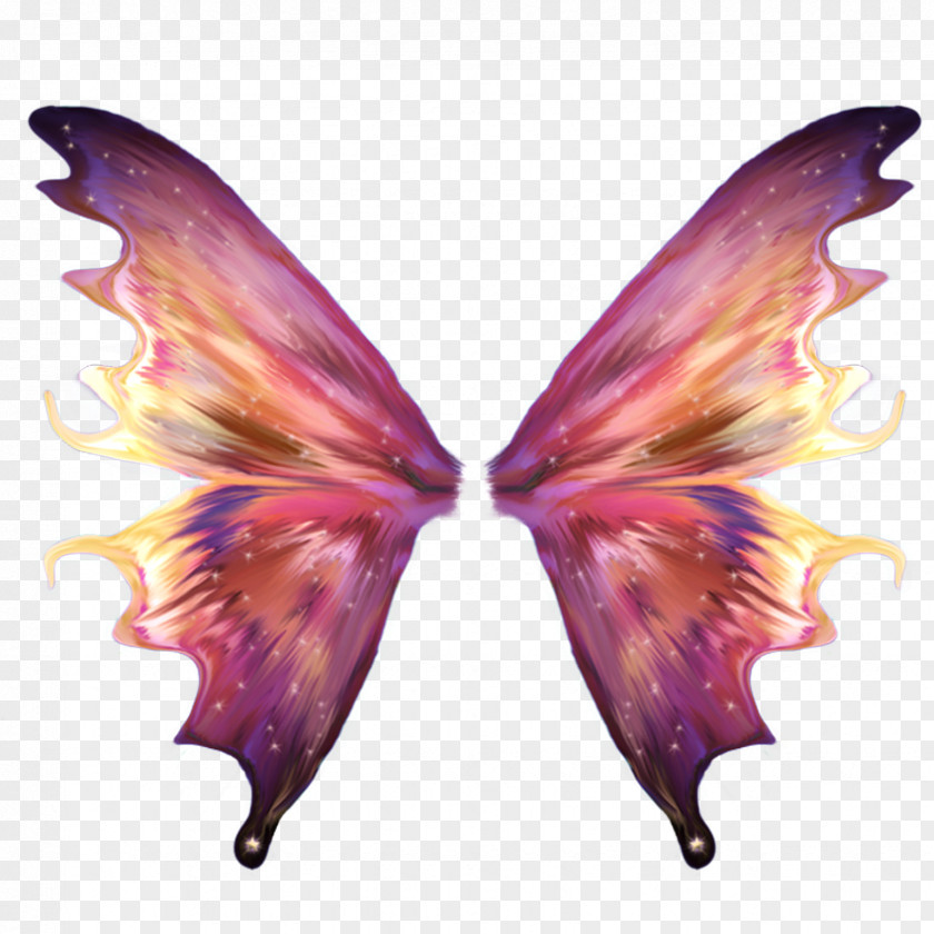 Fairy Desktop Wallpaper Wings PNG