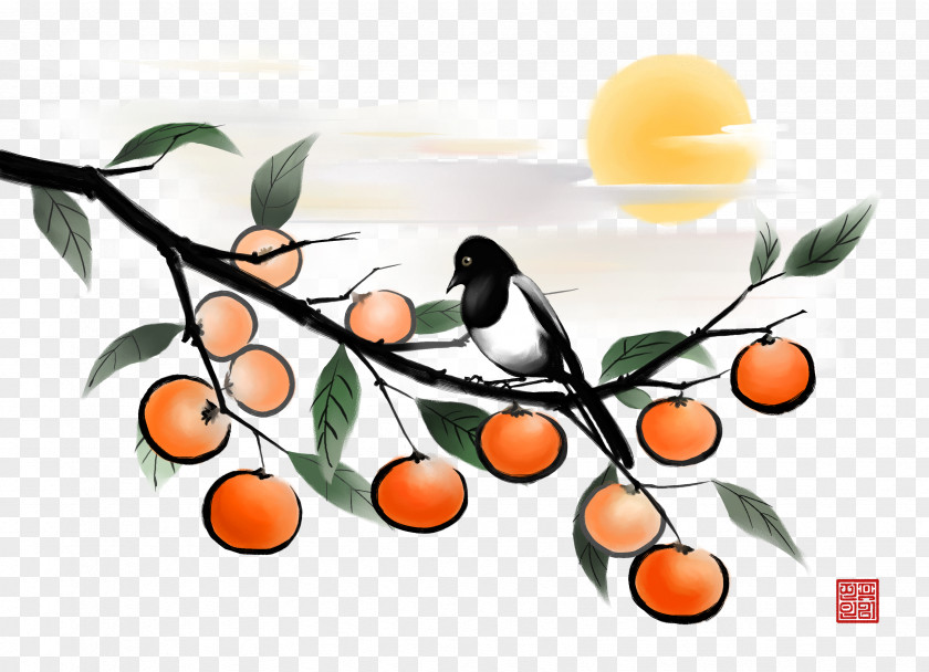 Ink Persimmon Tree Fruit Japanese Illustration PNG