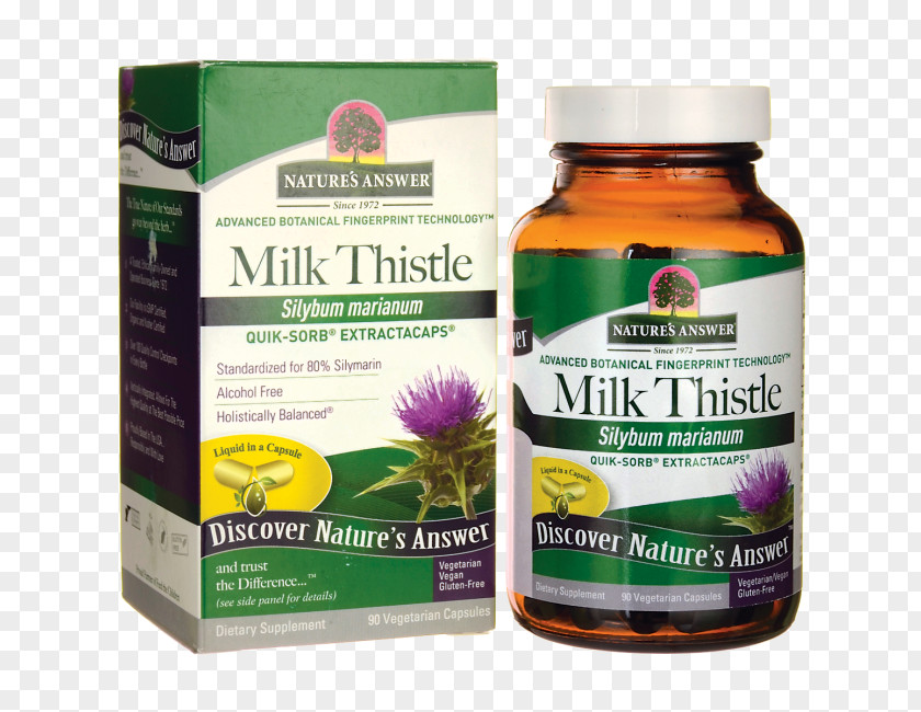 Milk Thistle Dietary Supplement Chaste Tree Female Ginseng Herb Capsule PNG