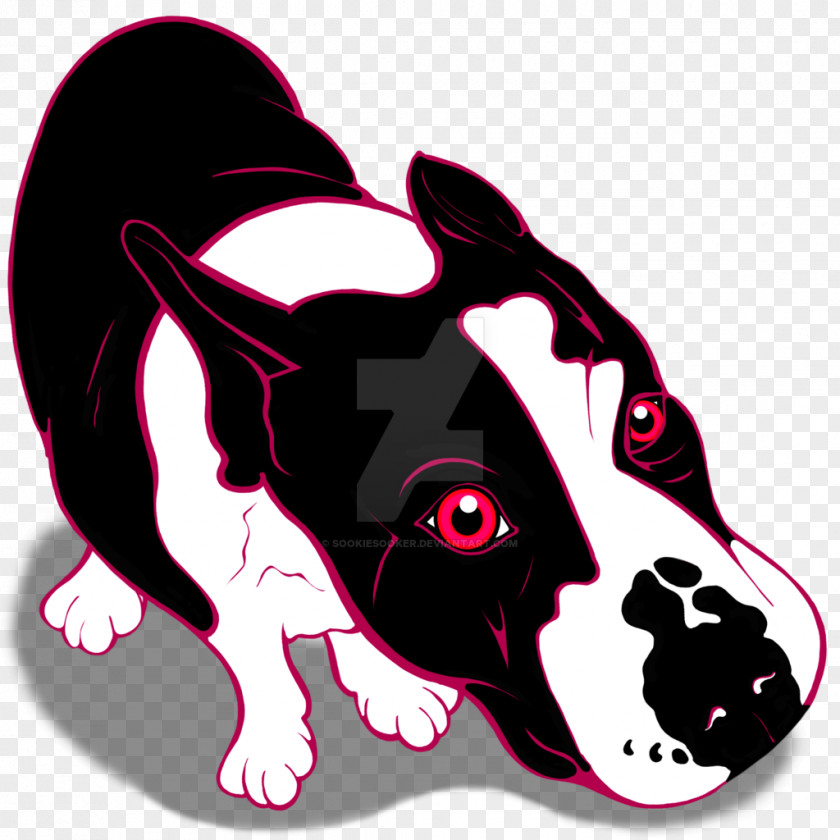 Puppy Boston Terrier Bull Dog Breed PNG