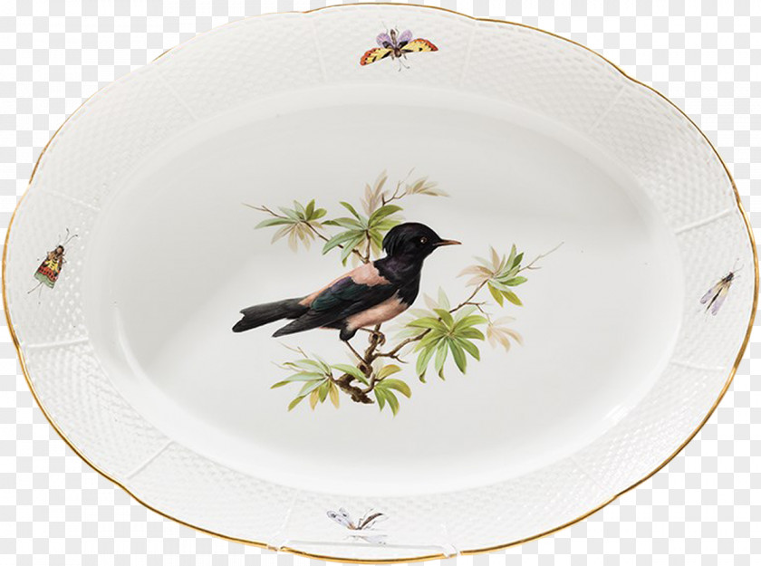 Tableware Plate Platter Porcelain Beak PNG