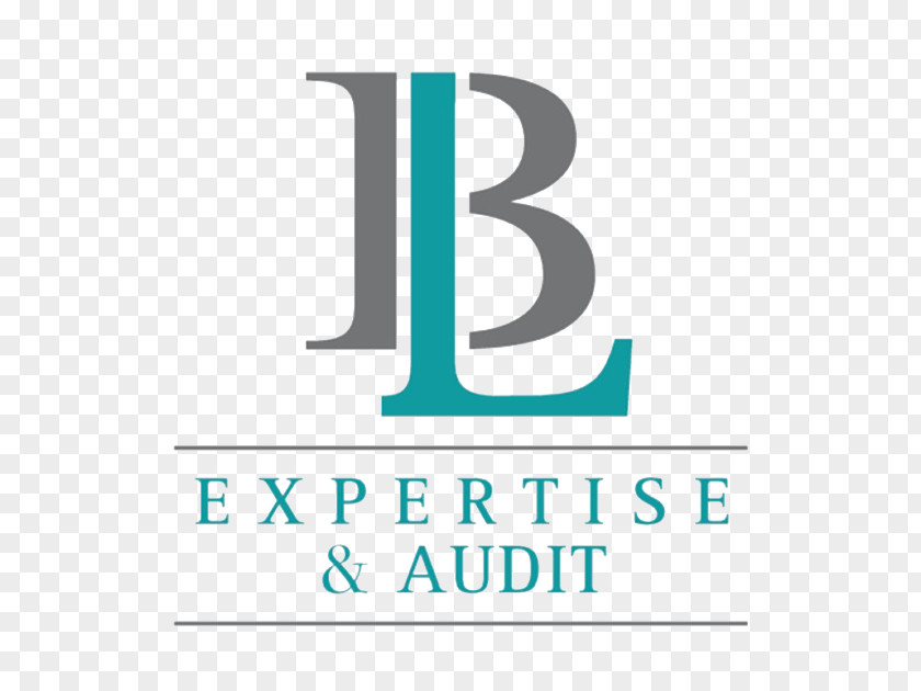 BL Expertise & Audit Chartered Accountant Adaptive PNG