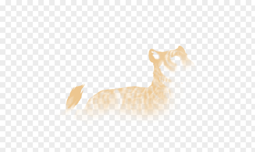 Cat Whiskers Dog Fur Wildlife PNG