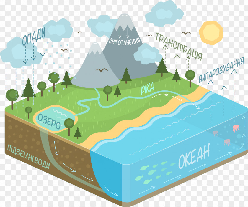 Diagram Water Cycle Condensation PNG