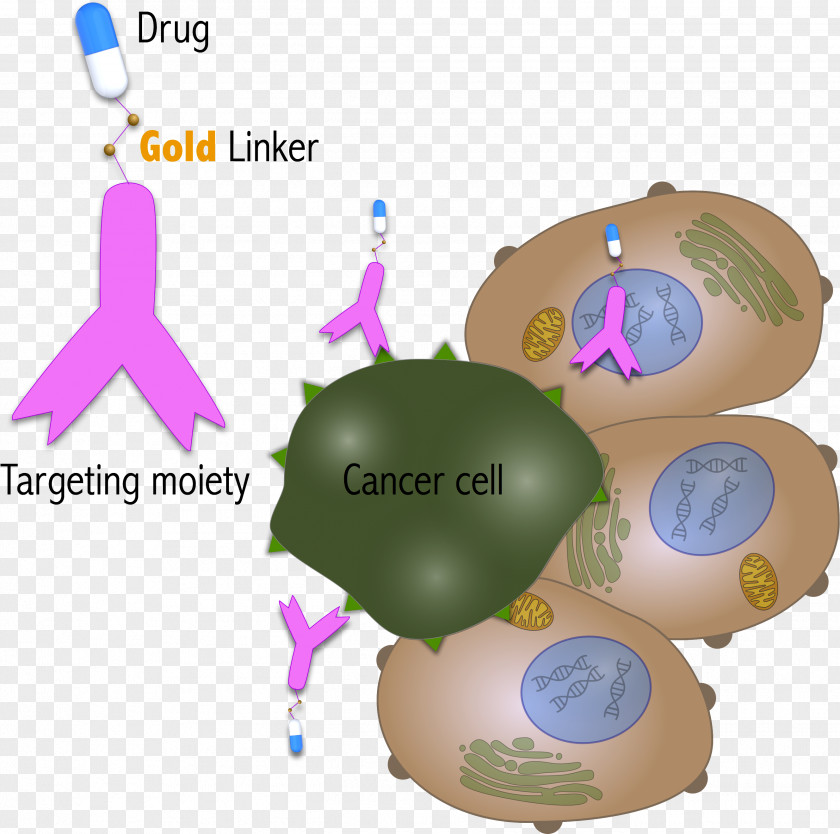 Gquadruplex Bioinorganic Chemistry Metal PNG