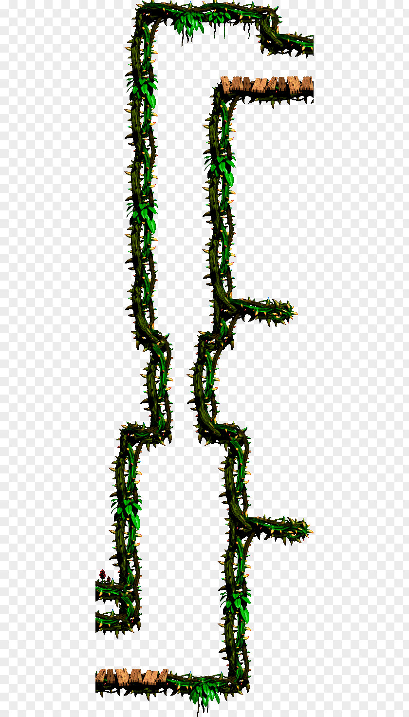 Leaf Pine Plant Stem Line Font PNG