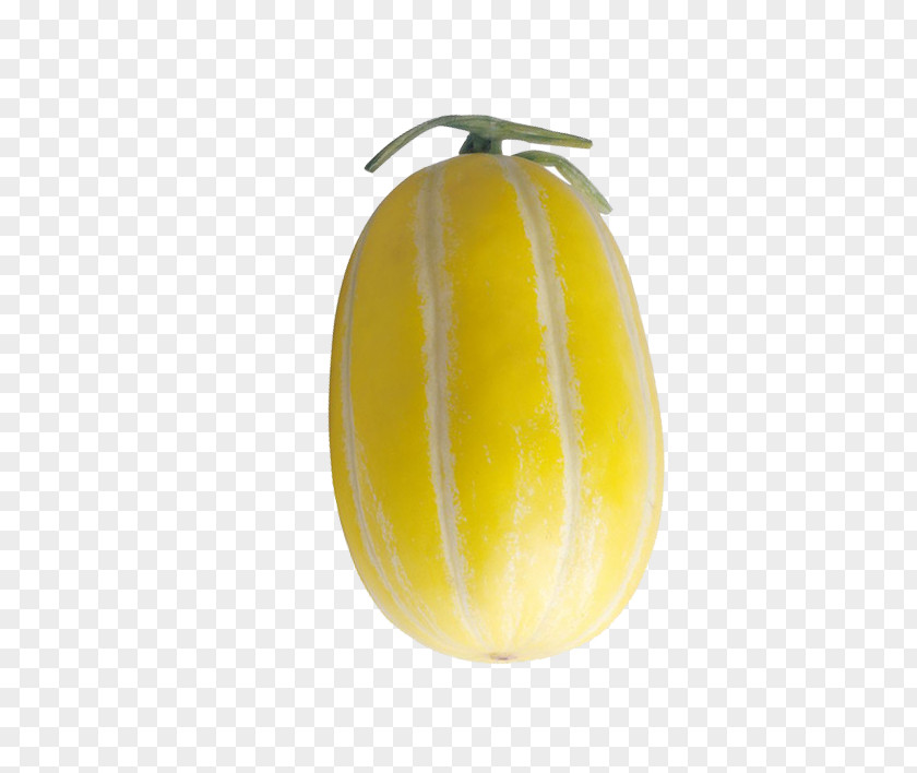 Muskmelon Cantaloupe Melon Winter Squash Fruit Cucurbita PNG