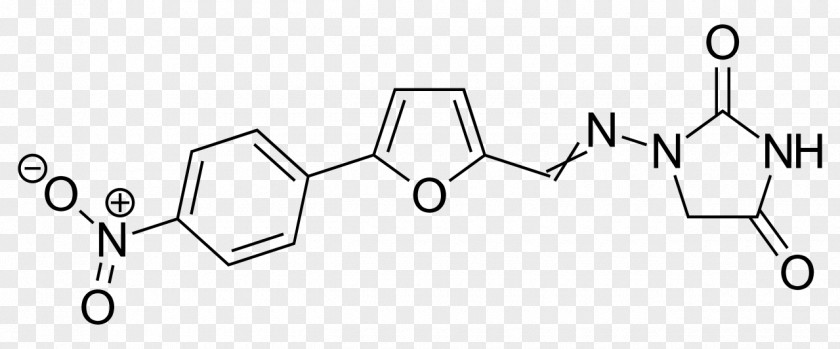 Ryanodine Receptor Muscle Suxamethonium Chloride Nerve PNG