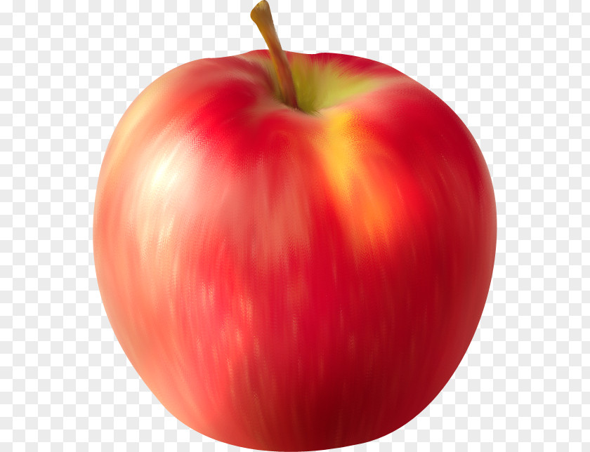 Autumn Red Apple Auglis Computer Software Clip Art PNG