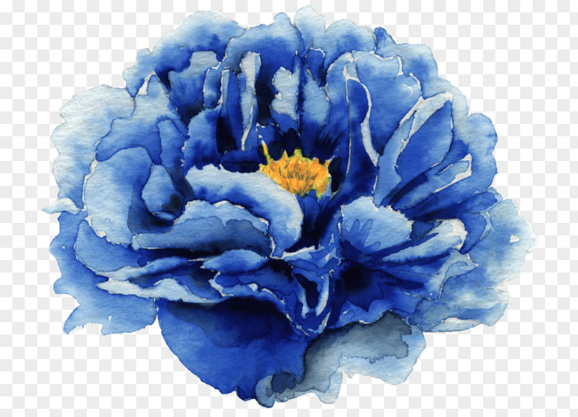 Cut Flowers Peony Blue Flower Petal Plant Flowering PNG