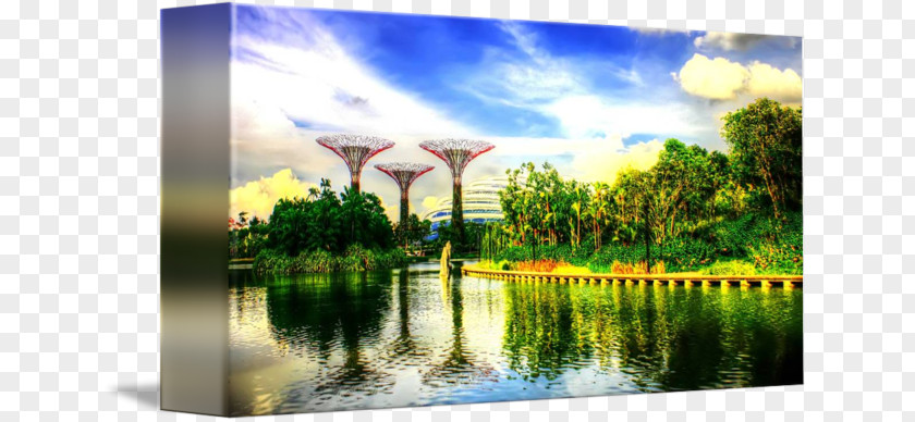 GARDEN BY THE BAY Water Resources Wetland Ecosystem Pond Energy PNG