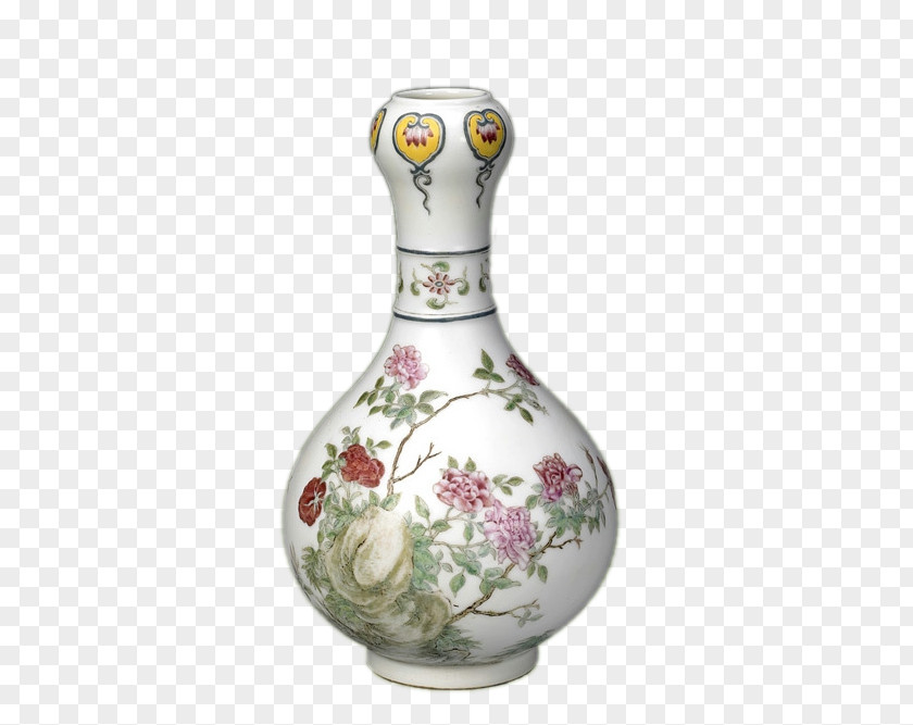 Garlic Vase Google Images Download PNG
