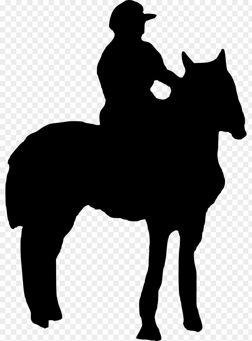 Horse Riding Pony Equestrian Stallion Rein PNG