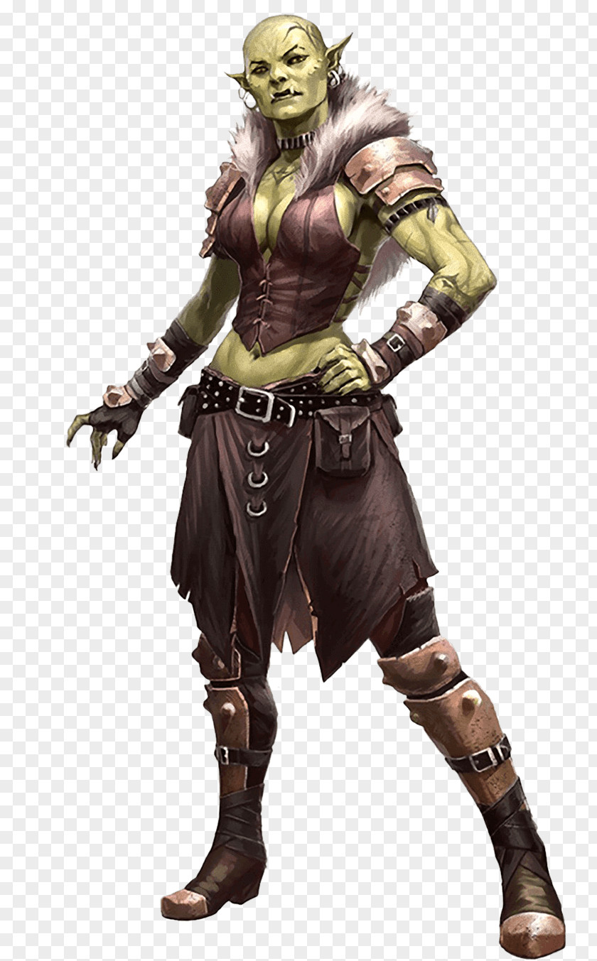 Monk Half-orc Pathfinder Roleplaying Game Art Female PNG