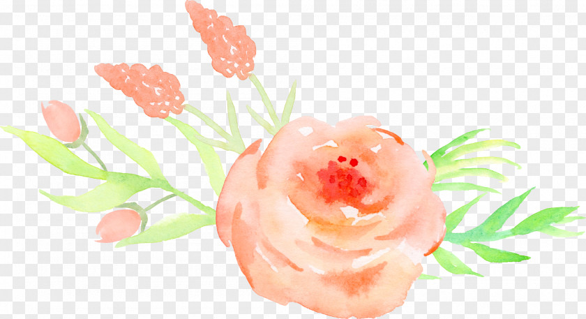 Orange Roses Decorative Pattern Watercolor Painting Rose PNG