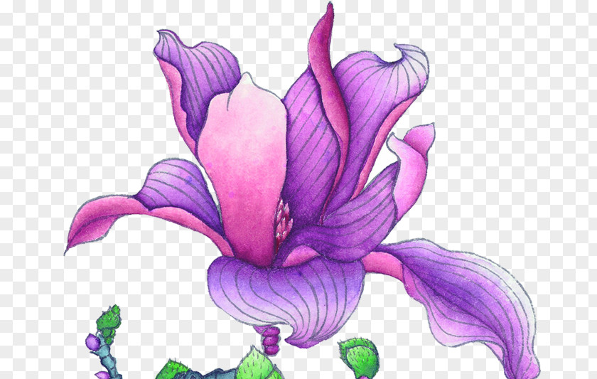 Purple Flower China Wind Antiquity Violet Euclidean Vector PNG