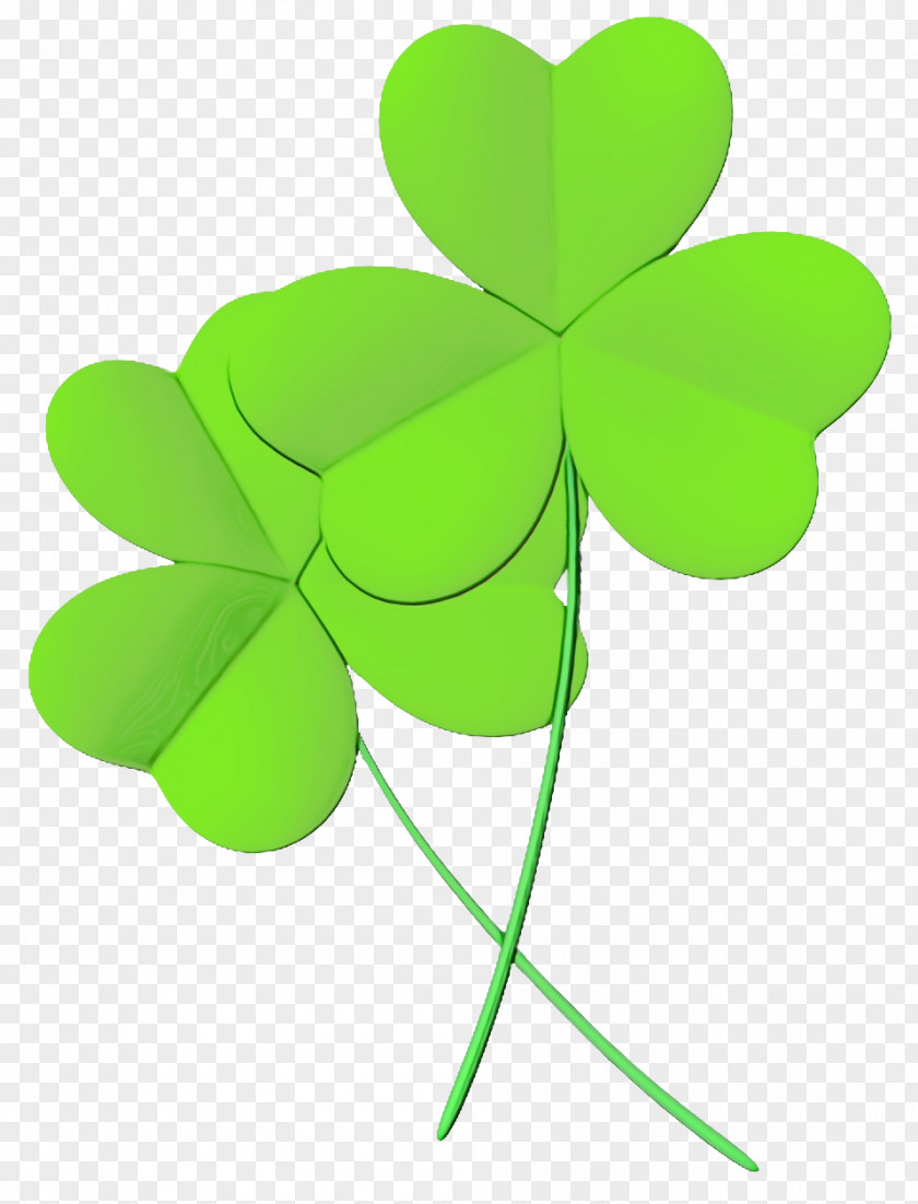 Shamrock PNG