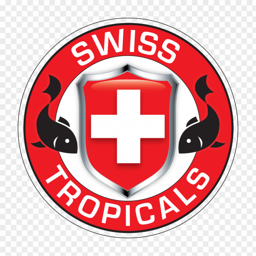 Swiss International Air Lines Rochester Airline Industry PNG