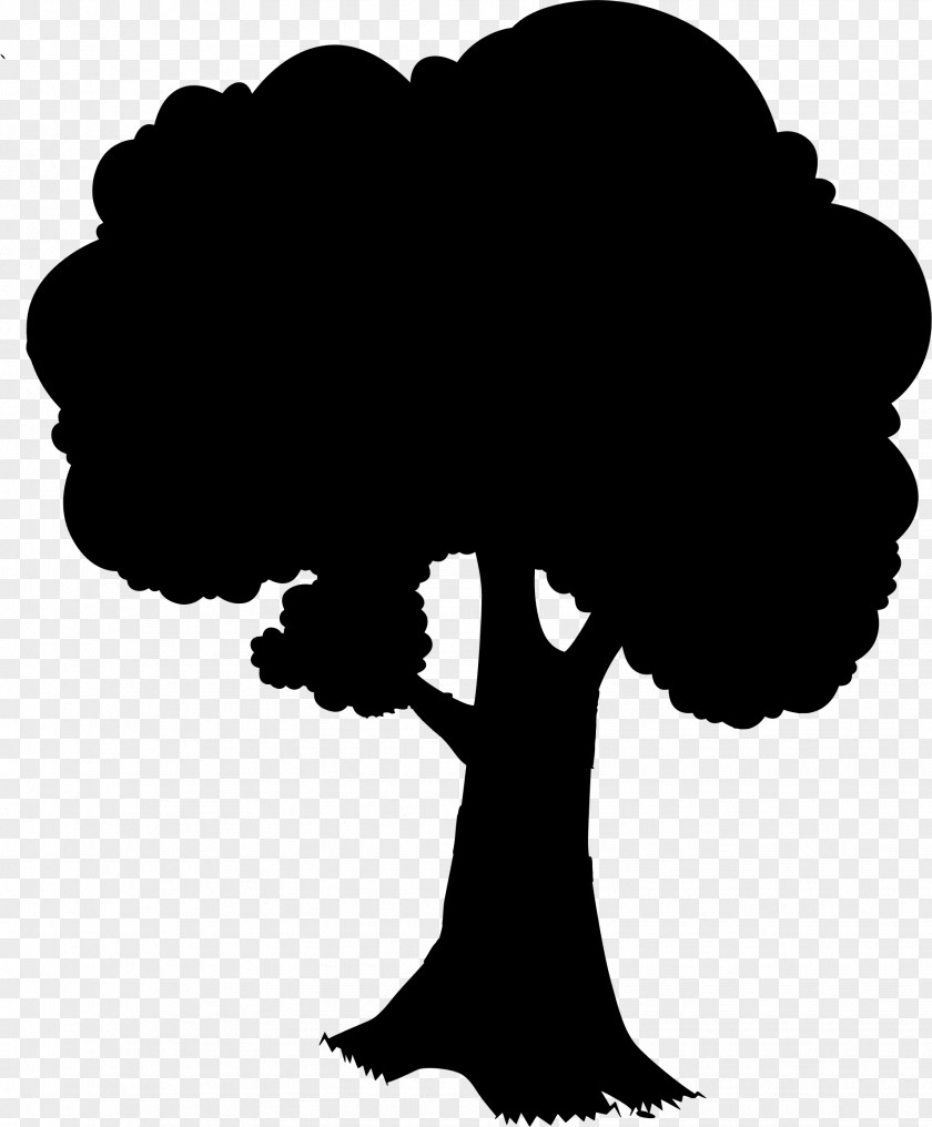 Tree Black Stock Photography Trunk PNG