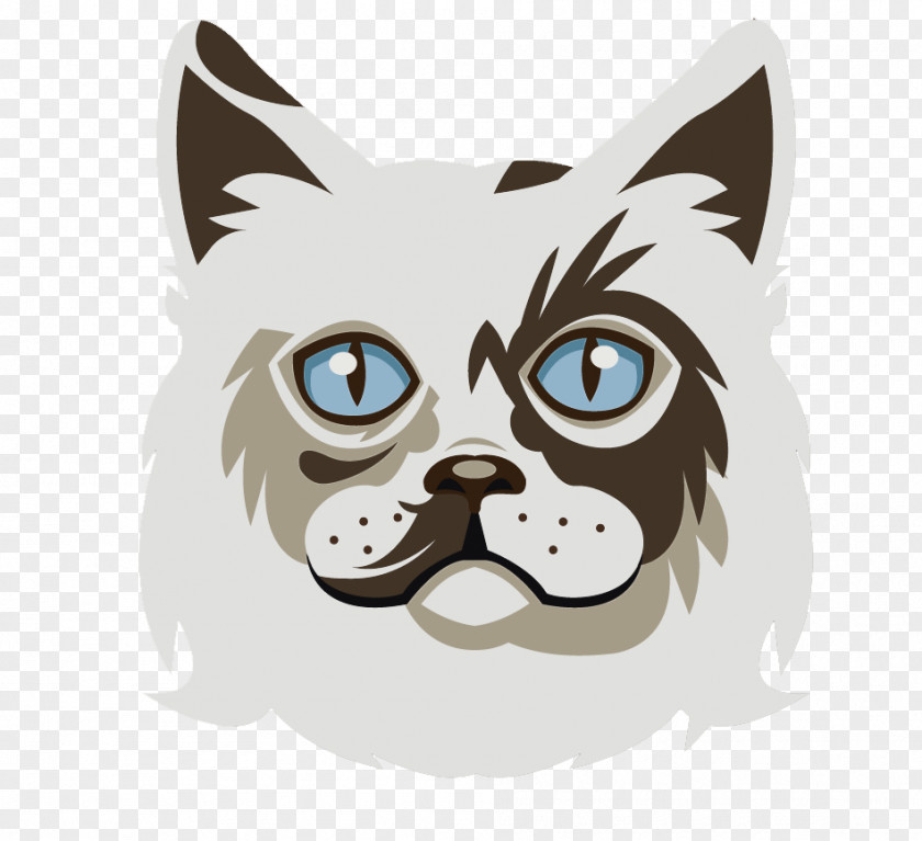 White Cat Cartoon Animal Free Material Ragdoll Whiskers Kittens Today Dog PNG