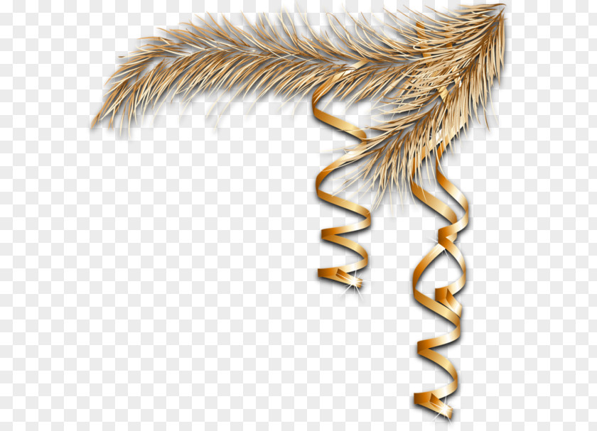 Wing Organism Feather PNG