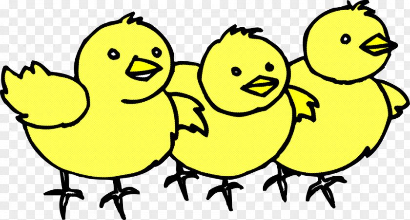 Yellow Bird Beak Happy Ducks, Geese And Swans PNG