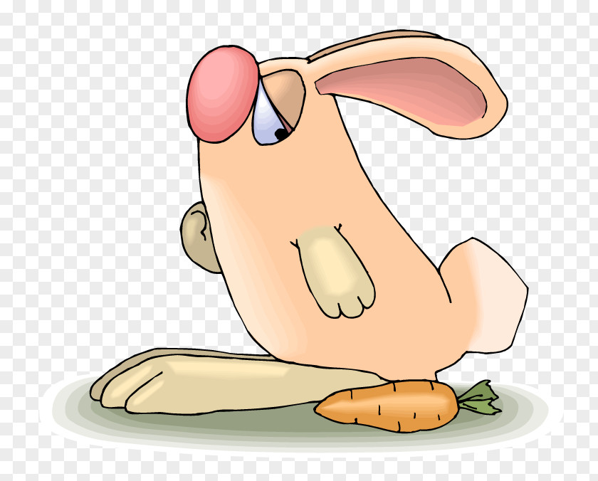 Children Carrot Rabbit Clip Art PNG