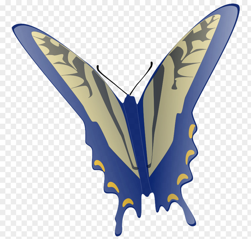 Context Cliparts Butterfly Free Content Clip Art PNG