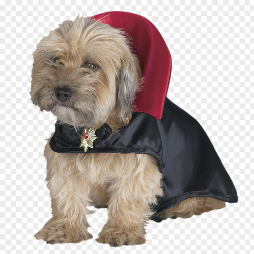 Dog Clothes Count Dracula Cat Disguise PNG