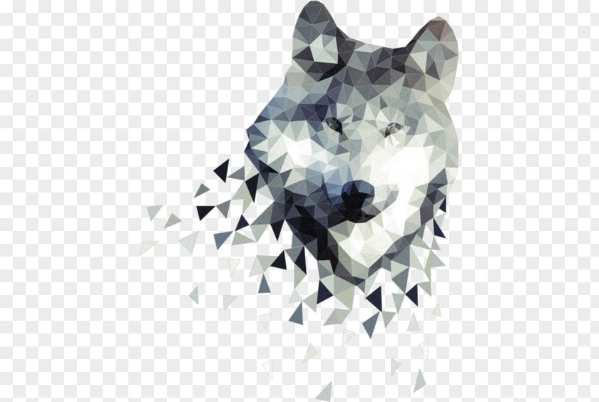 Gray Wolf Illustration African Wild Dog Zazzle Poster PNG