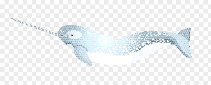 Narwhal Marine Mammal Beluga Whale Animal PNG