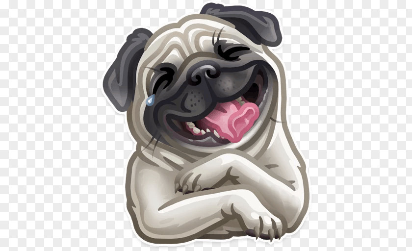 Puppy Pug Sticker Telegram Dog Breed PNG