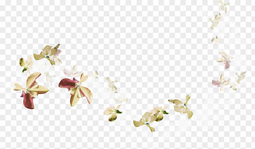 Decor Flower Clip Art PNG