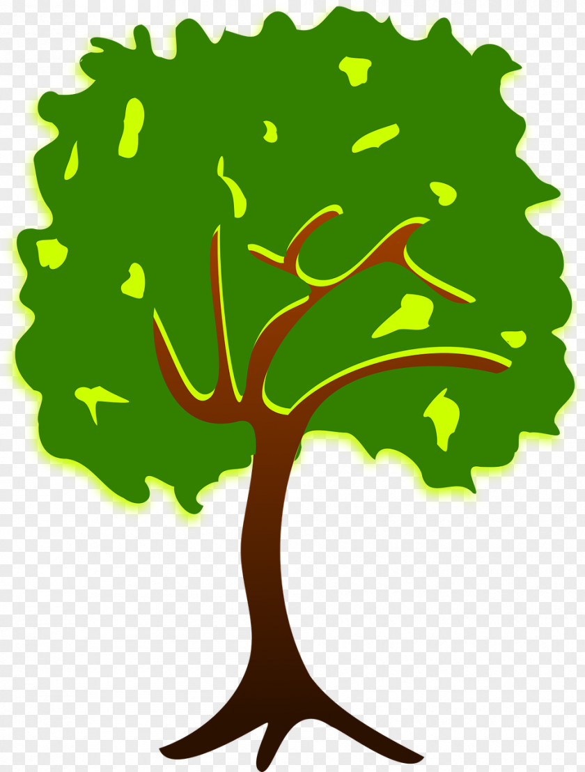 Drawing Trees Tree Branch Clip Art PNG