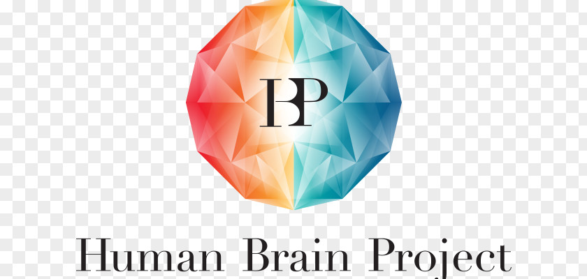 Human Brain Project European Union École Polytechnique Fédérale De Lausanne PNG