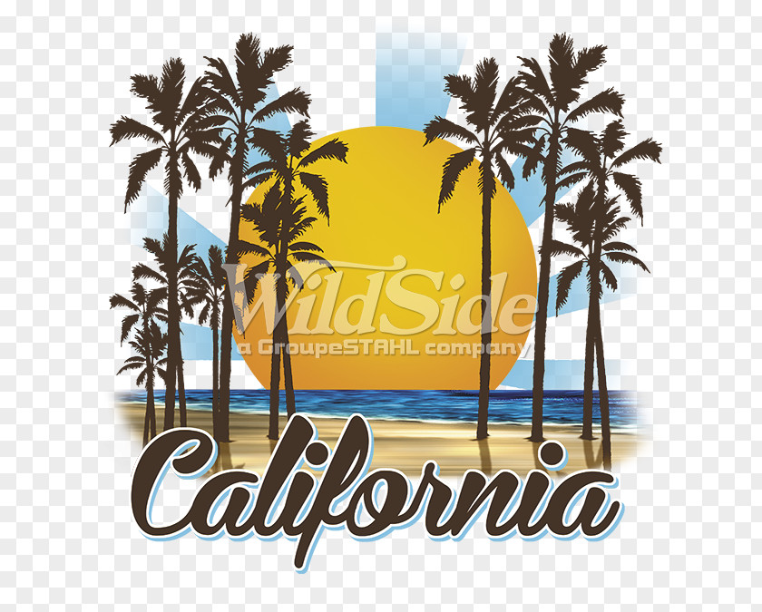 Los Angeles Can Stock Photo PNG , sunny beaches clipart PNG