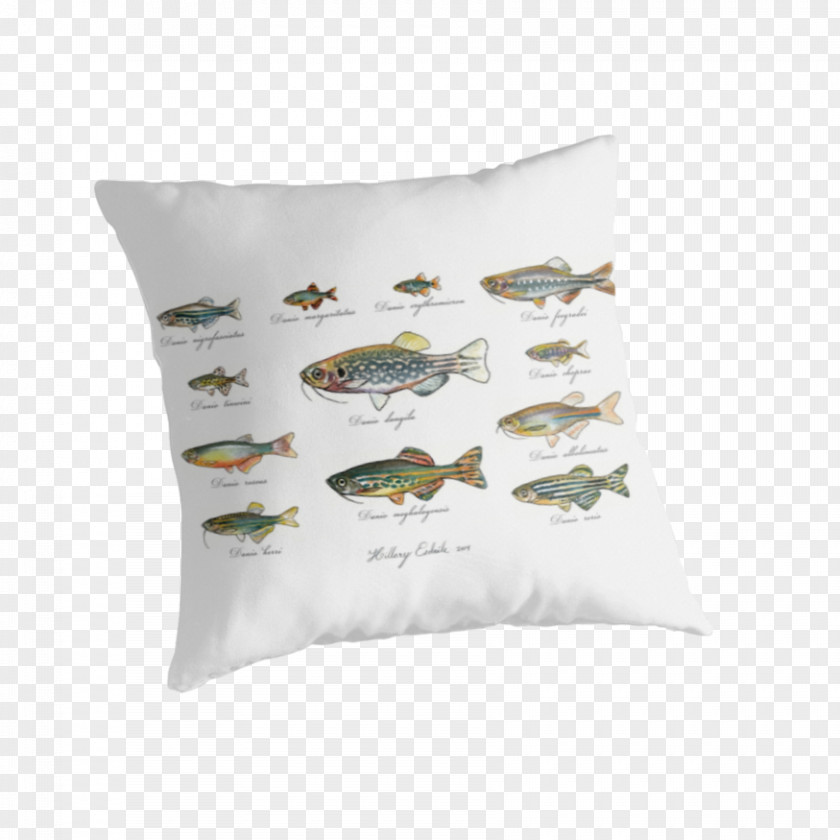 Pillow Cushion Throw Pillows PNG