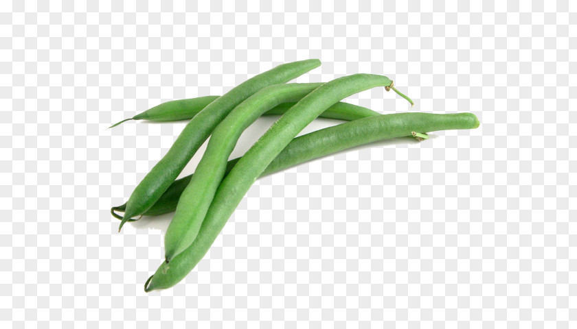 Beens Green Bean Food Vegetable PNG