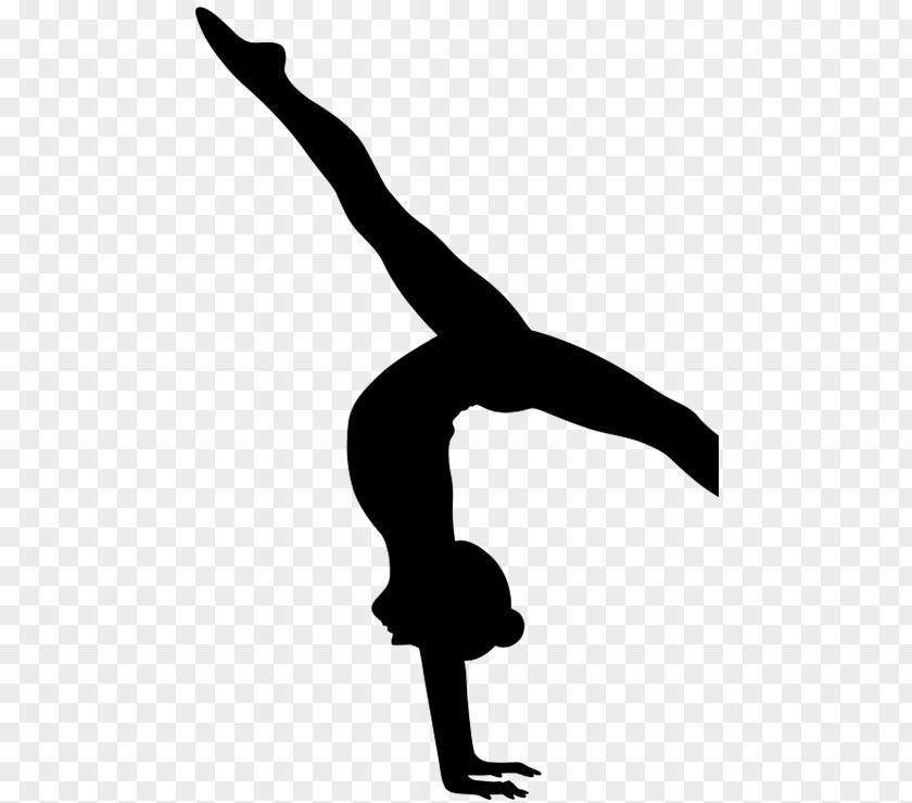 Dance Silhouette Ballet Clip Art Gymnastics Image Vector Graphics PNG