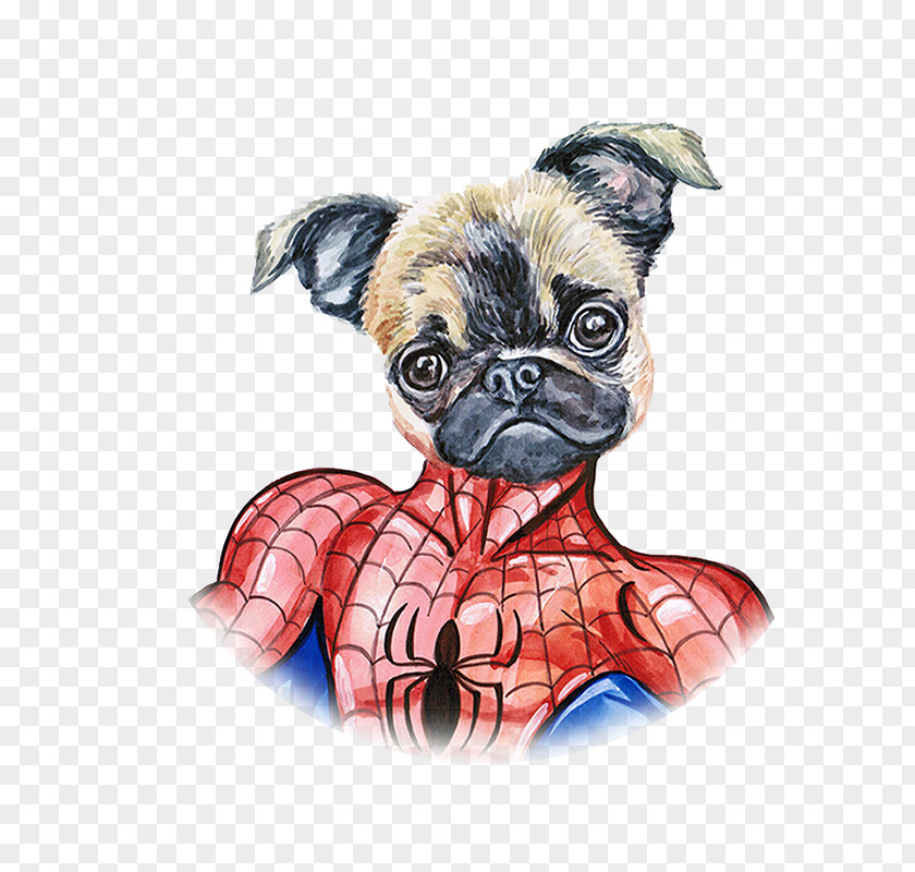 Hand Painted Watercolor Dog Spiderman Pug Spider-Man Puppy PNG