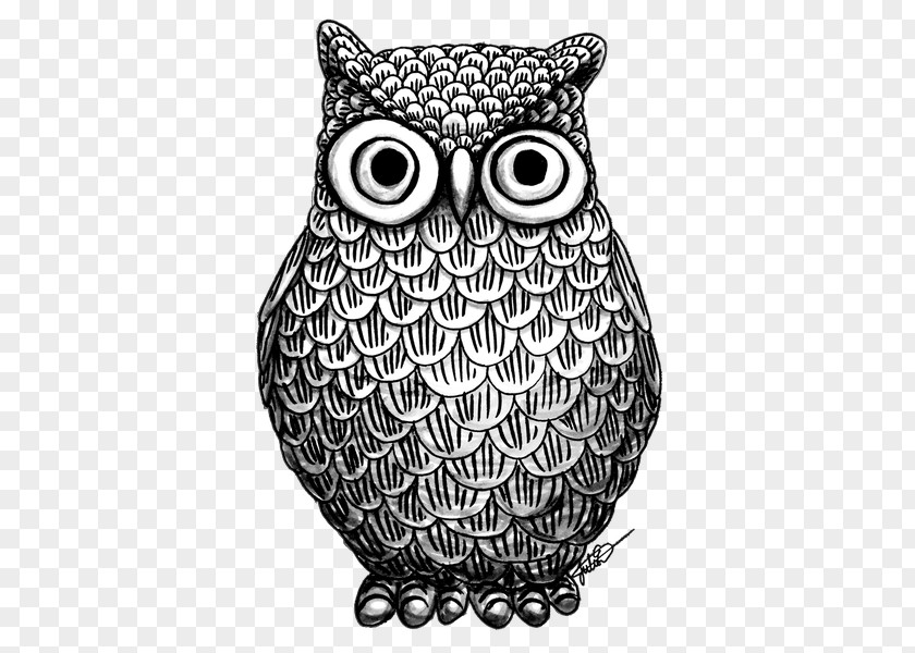 Owl Black-and-white Drawing Black And White Bird PNG
