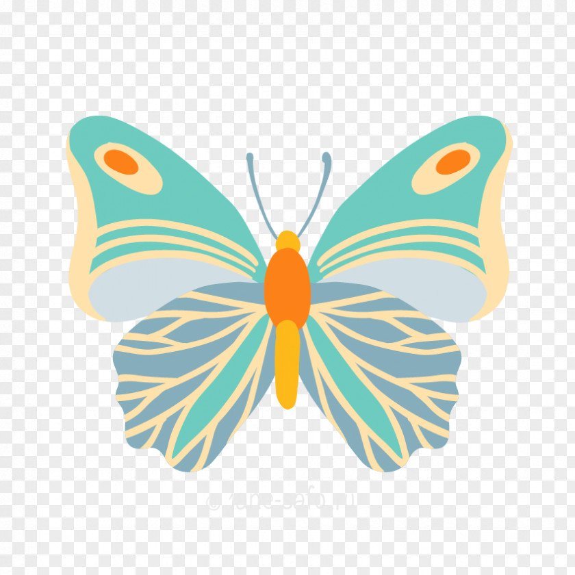 Papillon Butterfly Clip Art PNG