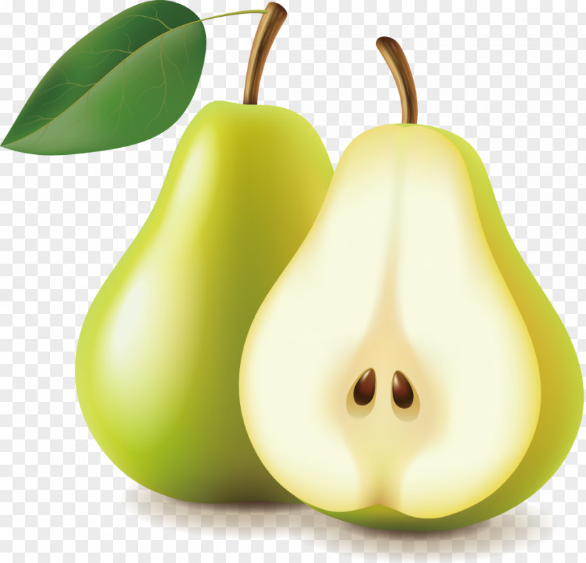 Pear Fruit PNG
