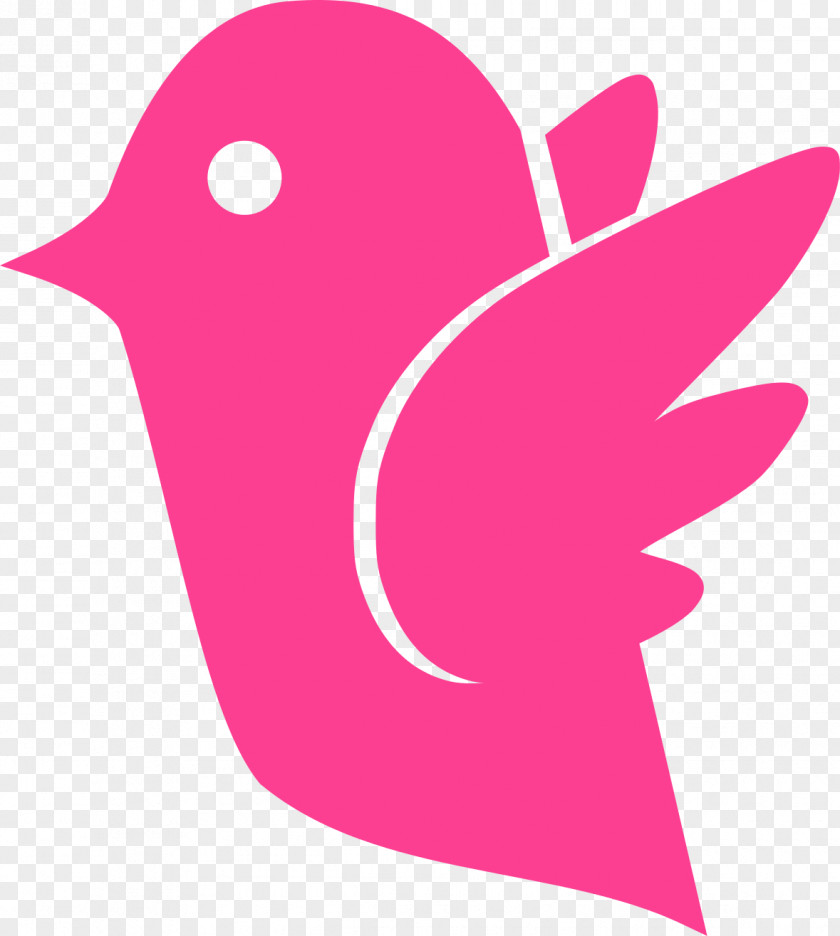 Pigeon Columbidae Pink PNG