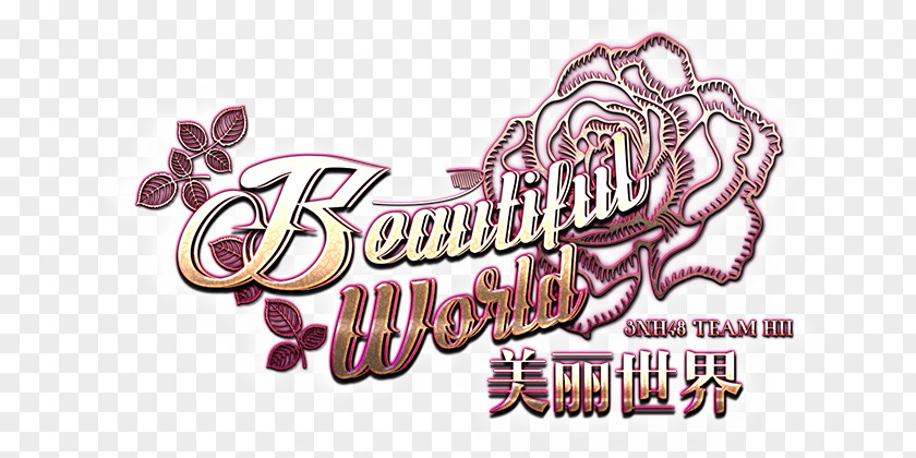 SNH48 Group AcFun Beautiful World Song PNG