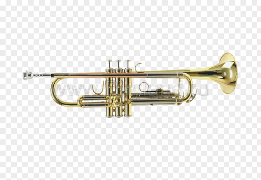 Trumpet Brass Instruments Vincent Bach Corporation Musical PNG